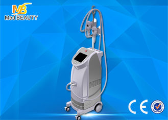 Chine Best seller vertical fat freezing cryolipolisis coolsculpting cryolipolysis machine fournisseur