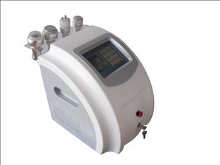 Chine 40 KHz Cavitation fréquence Cellulite Cavitation 8 pouces écran tactile couleur fournisseur