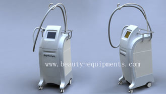 Chine 2012 Machines de réduction Cryolipolysis Cryolipolysis Fat populaires fournisseur